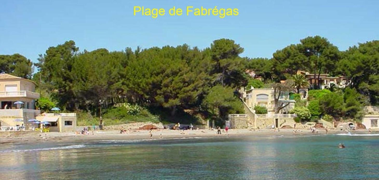 Chambre Et Salle De Bain Independantes A 200M De La Plage De Fabregas La Seyne-sur-Mer Eksteriør bilde